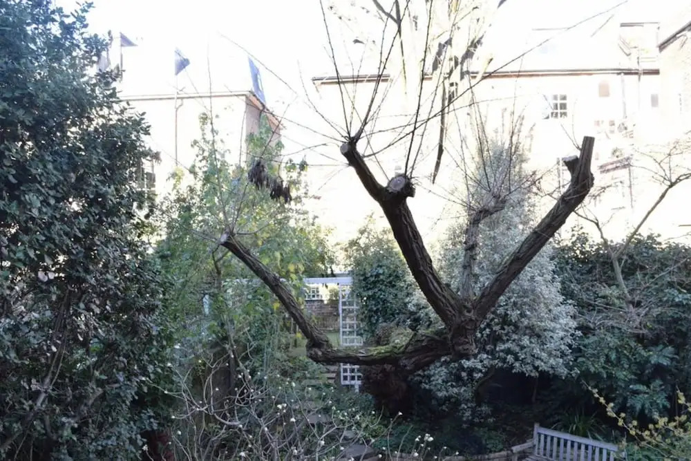 Family House in Kentish Town