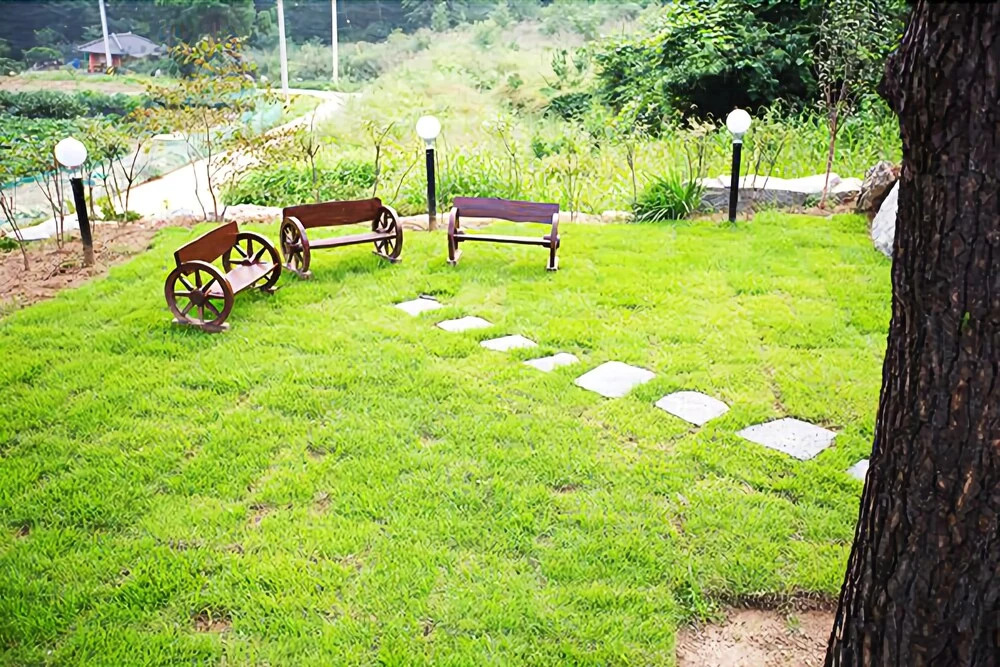 Yangpyeong Sol Maru Pension