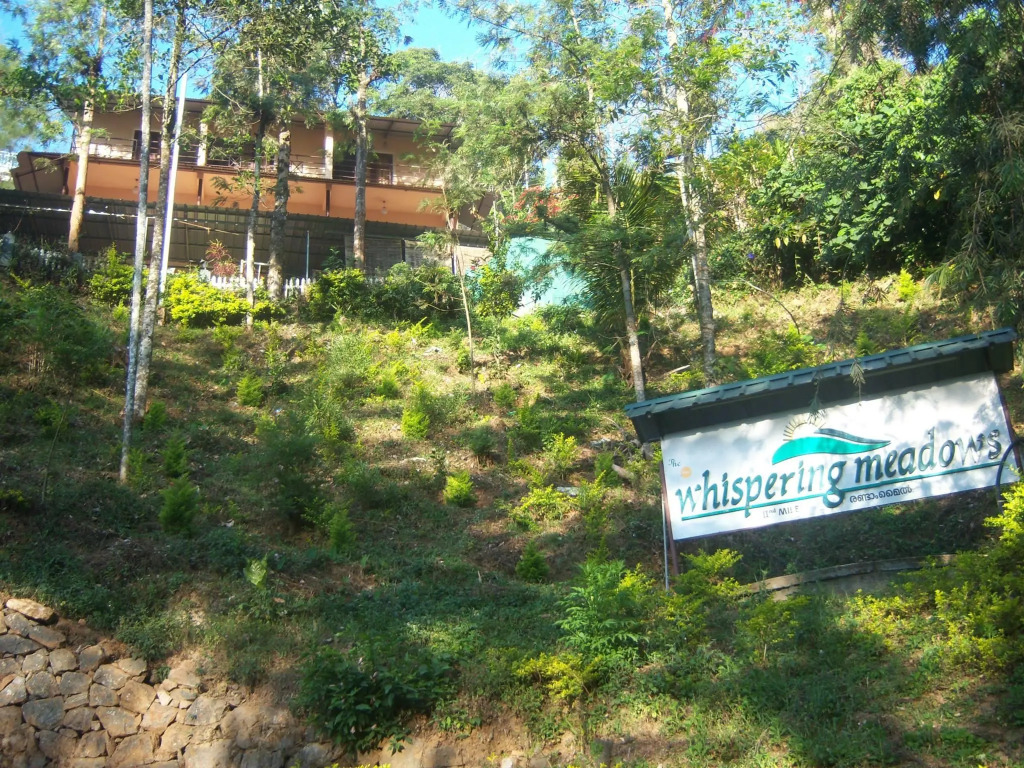 The Whispering Meadows Resort