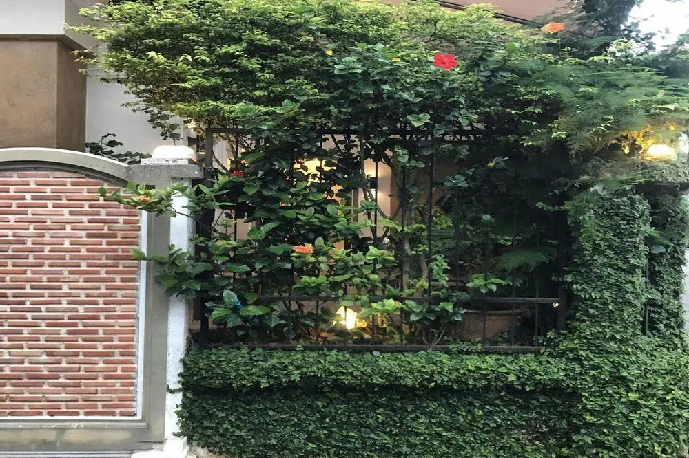 Rimklong boutique hotel trad