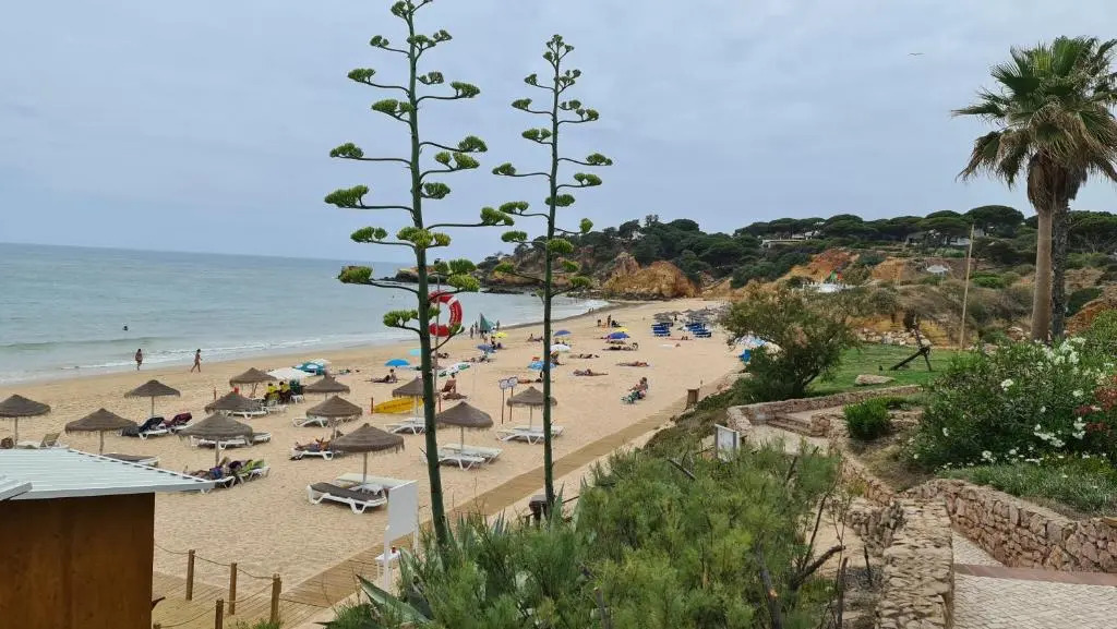 Monte da Eira 66