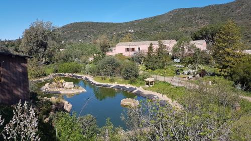La Fattoria Delle Tartarughe