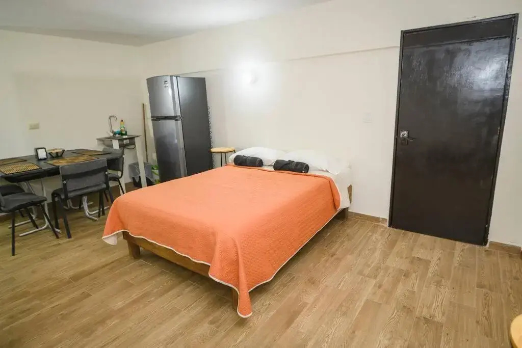 Nuevo Departamento de 2 recamaras con aire acondiconado, parking, wifi 70mb, refrigerador, micro,fregadero,licuadora,parrilla,utensilios de cocina, D5