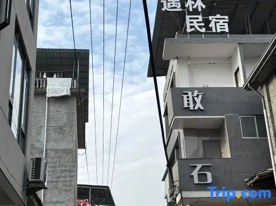 Wuyishan Yulin Homestay