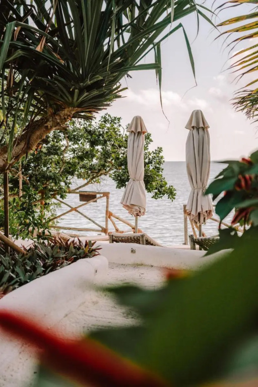 The Island - Pongwe Lodge