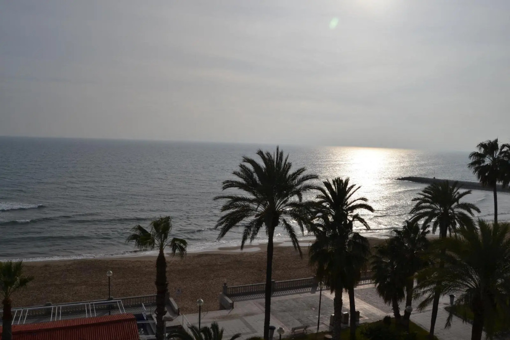 Platjador