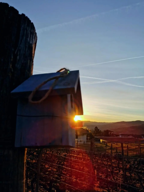 Agriturismo Mondo