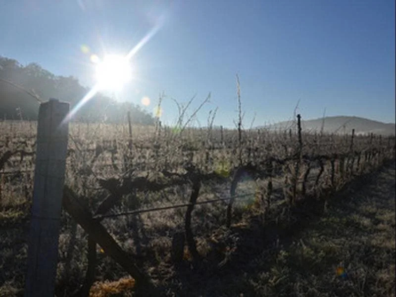 Sancerre Estate