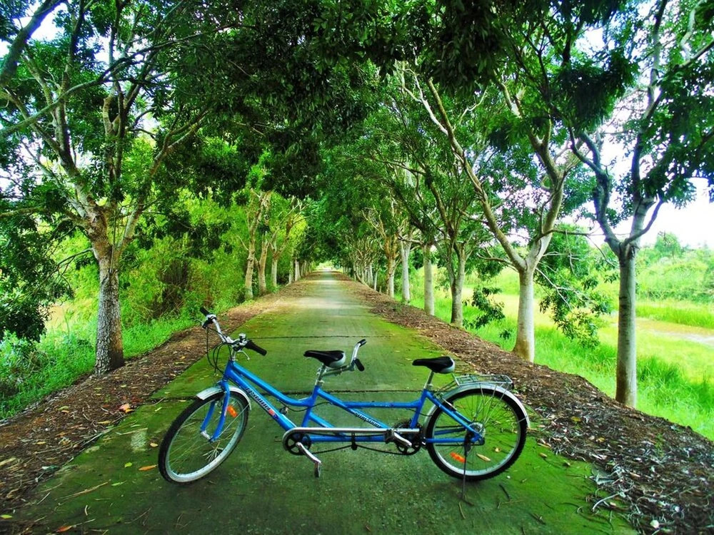 Hai Lua Homestay (Lotus Lake Homestay)