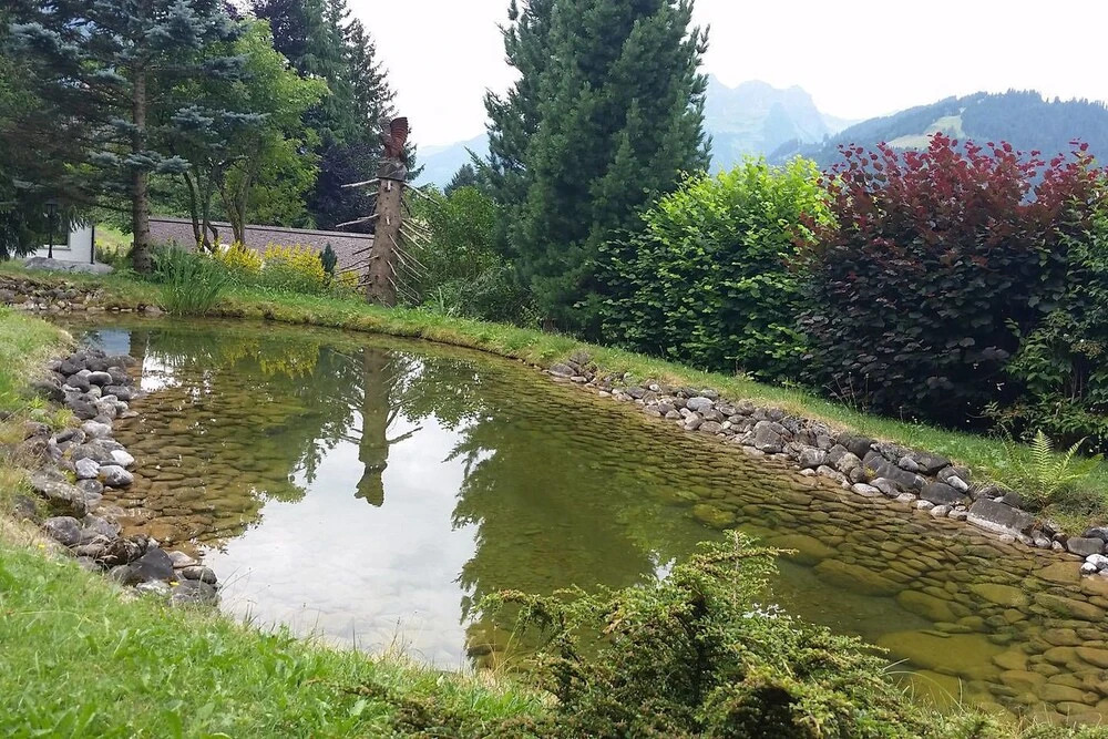 Gstaad - Amazing Lake Chalet