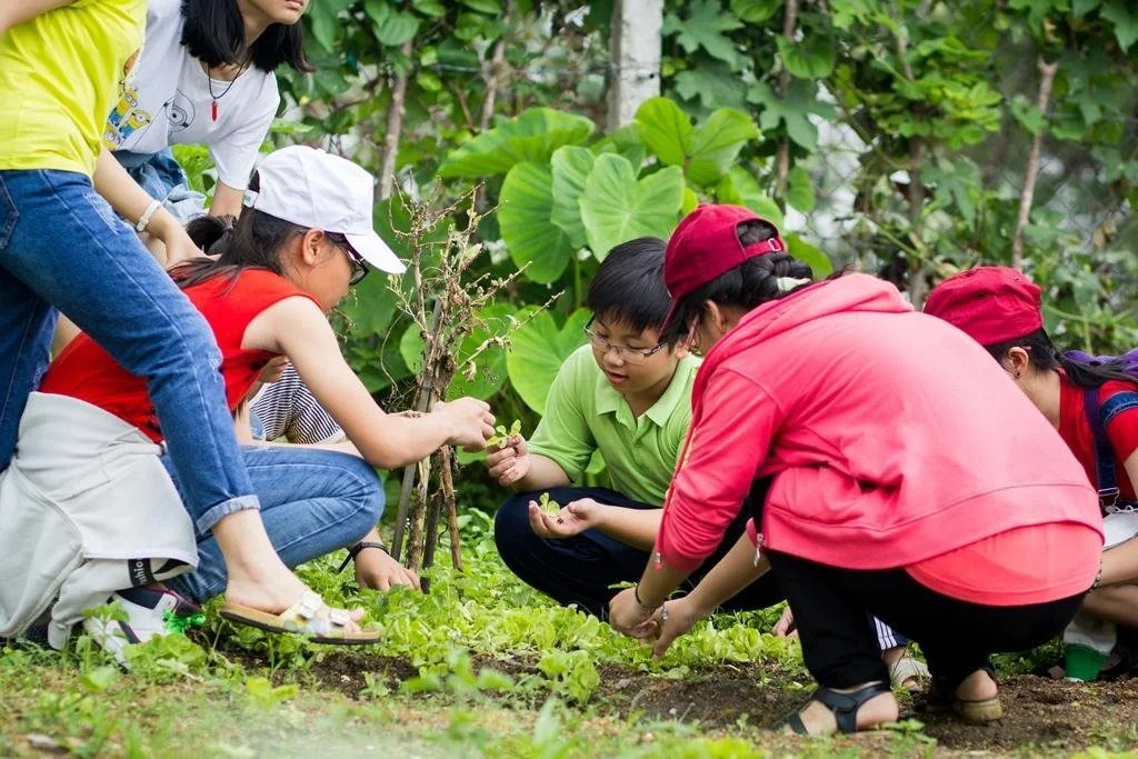 HỒ MÂY PARK Vũng Tàu Khách Sạn - Resort
