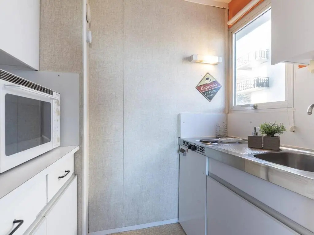 Appartement Saint-Lary-Soulan, 1 pièce, 4 personnes - FR-1-296-322
