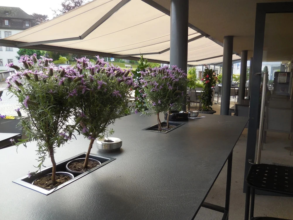Apartment Dufour