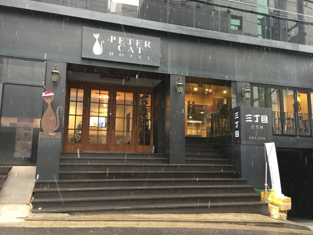 Goodstay Petercat Hotel Hongdae