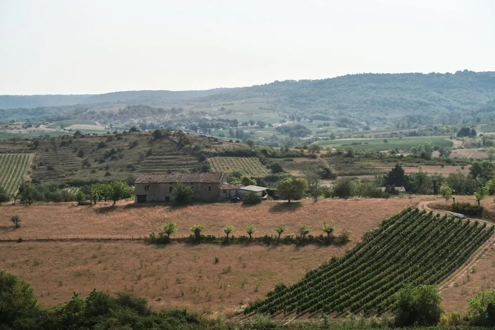 l'oasis