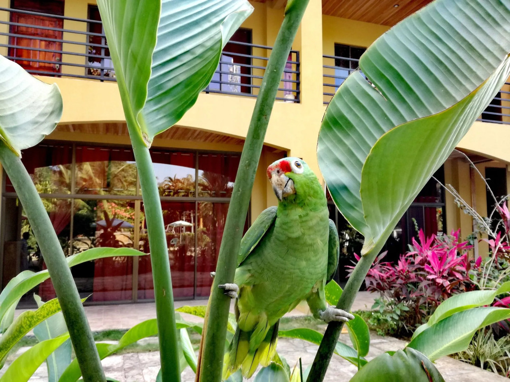 Hotel Loft Pacifico