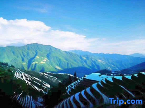 Longji Rice Terraces Ivy Homestay