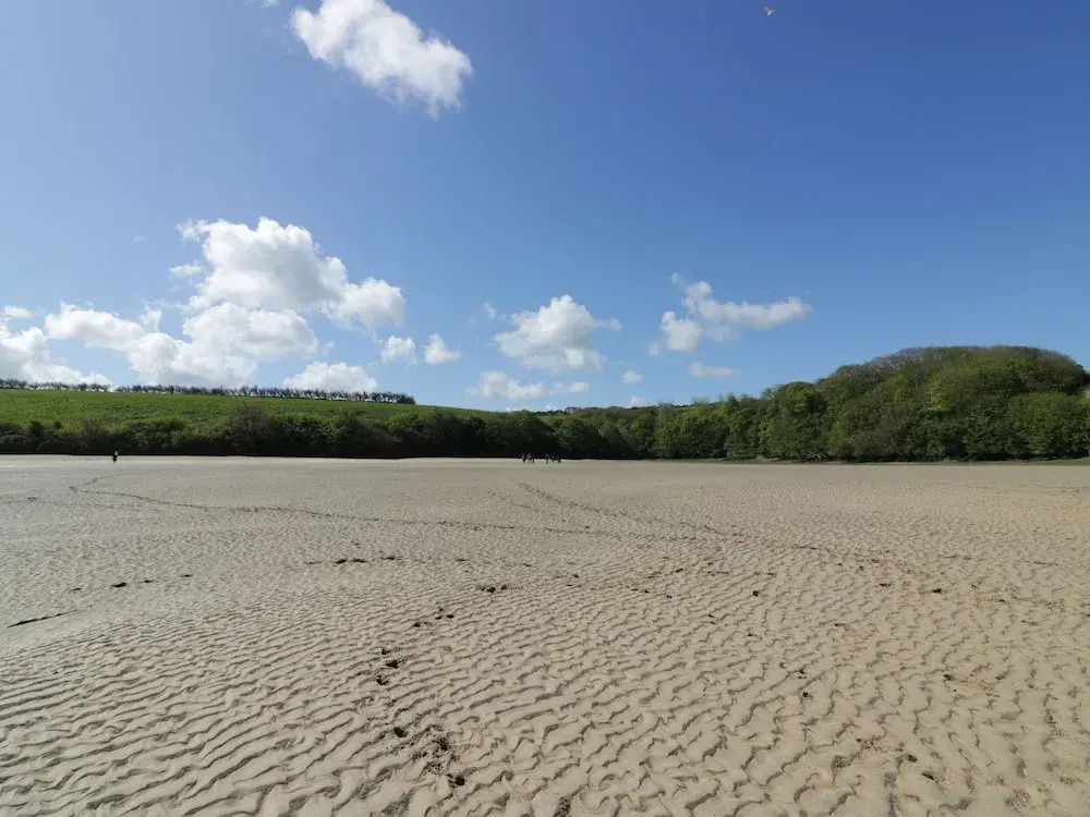 Estuary View