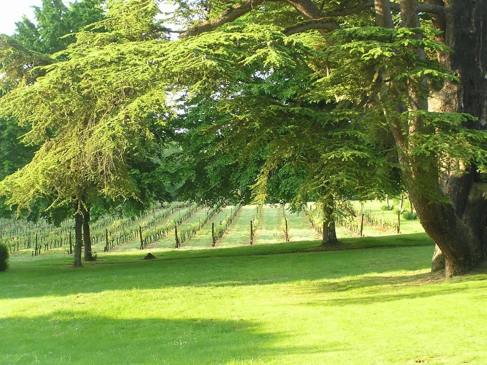 Chateau Valcreuse