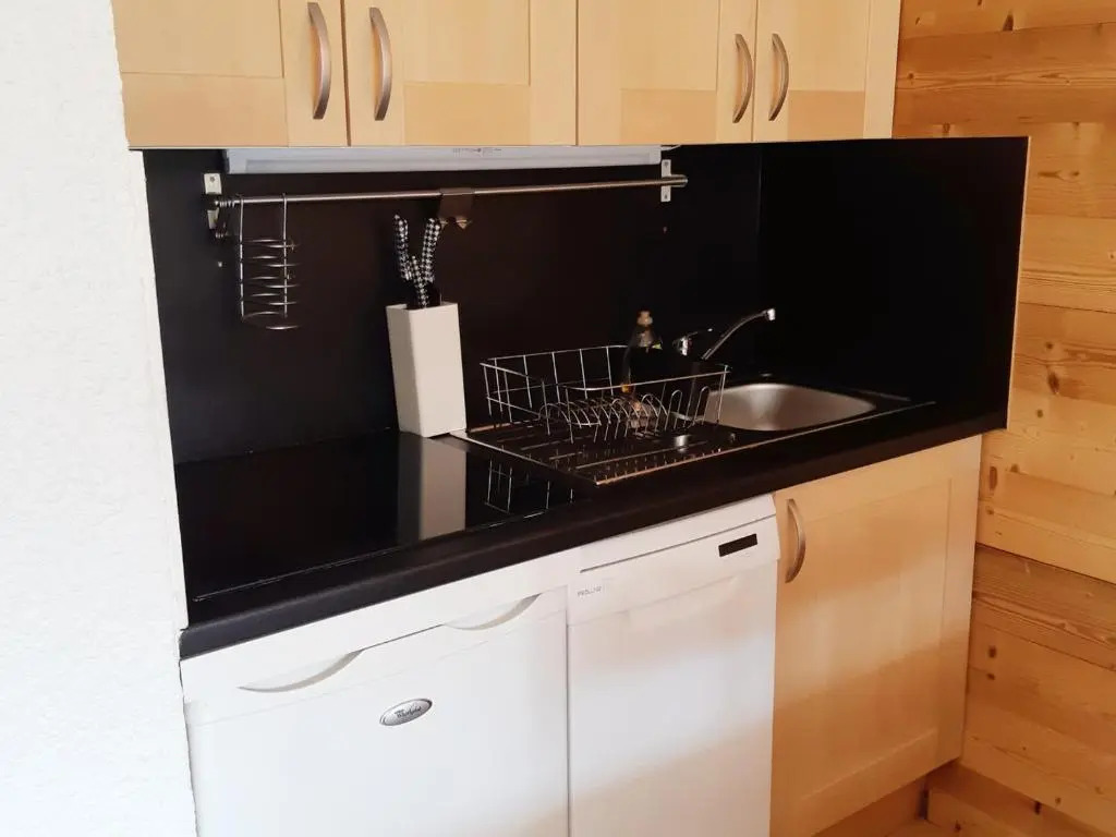 Appartement Les Deux Alpes, 1 pièce, 4 personnes - FR-1-516-12