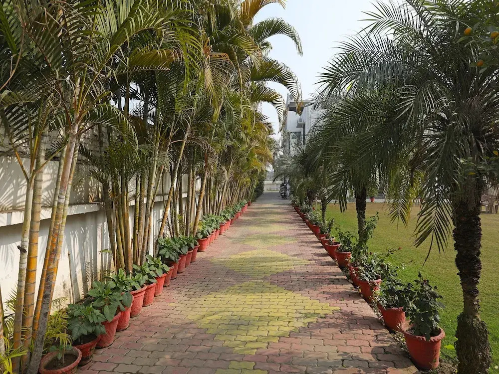 OYO 11538 Shree Kanha Shyam Hotel & Banquet