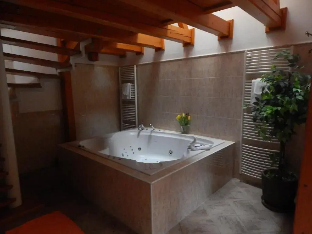 Hotel Zámeček Pod Hradem Starý Jičín 111