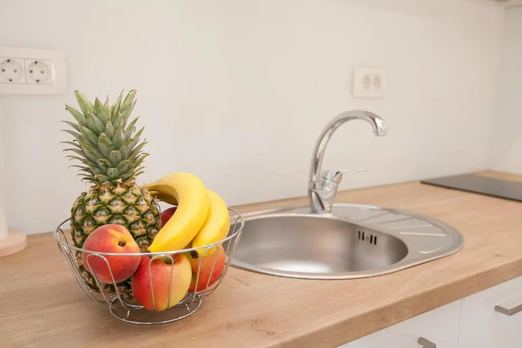 Studio apartments Tara