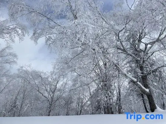 Xiangye · Qitinxue The Beauty of The East Snow View Homestay (Snow Town Scenic Area)