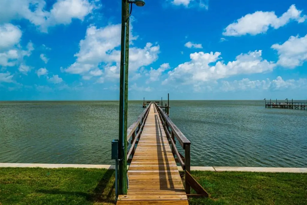 Copano Delight by Miss Kitty’s