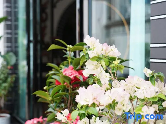 Yunqi Classic Bai Homestay