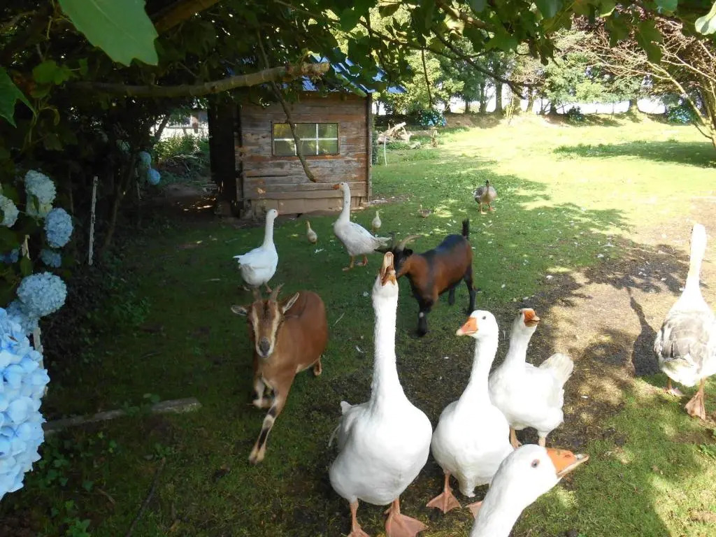 Logis Rural