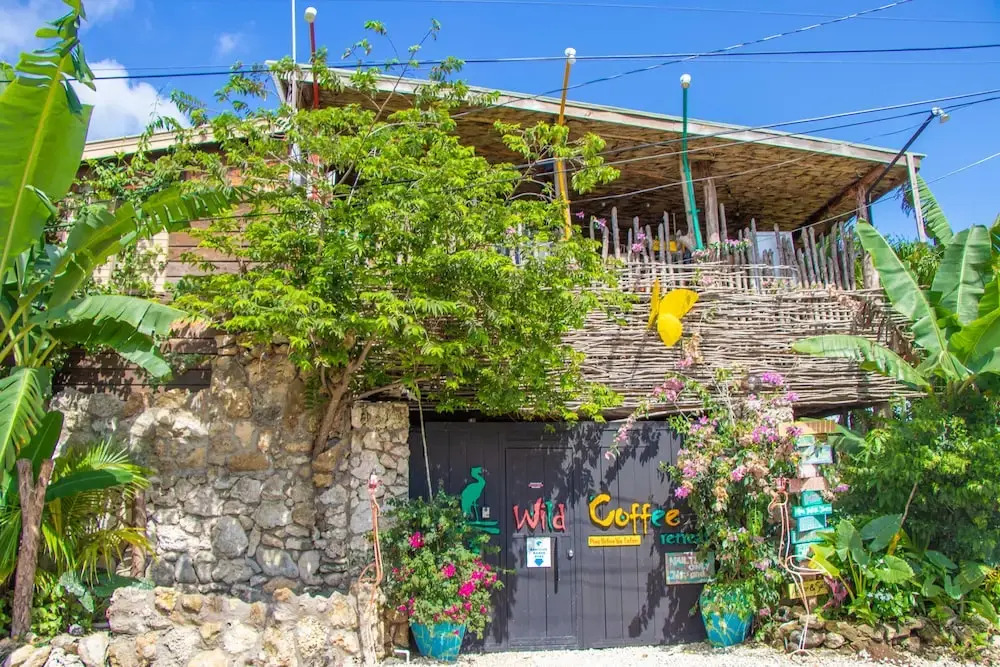 Wild Coffee Retreat - Adults Only