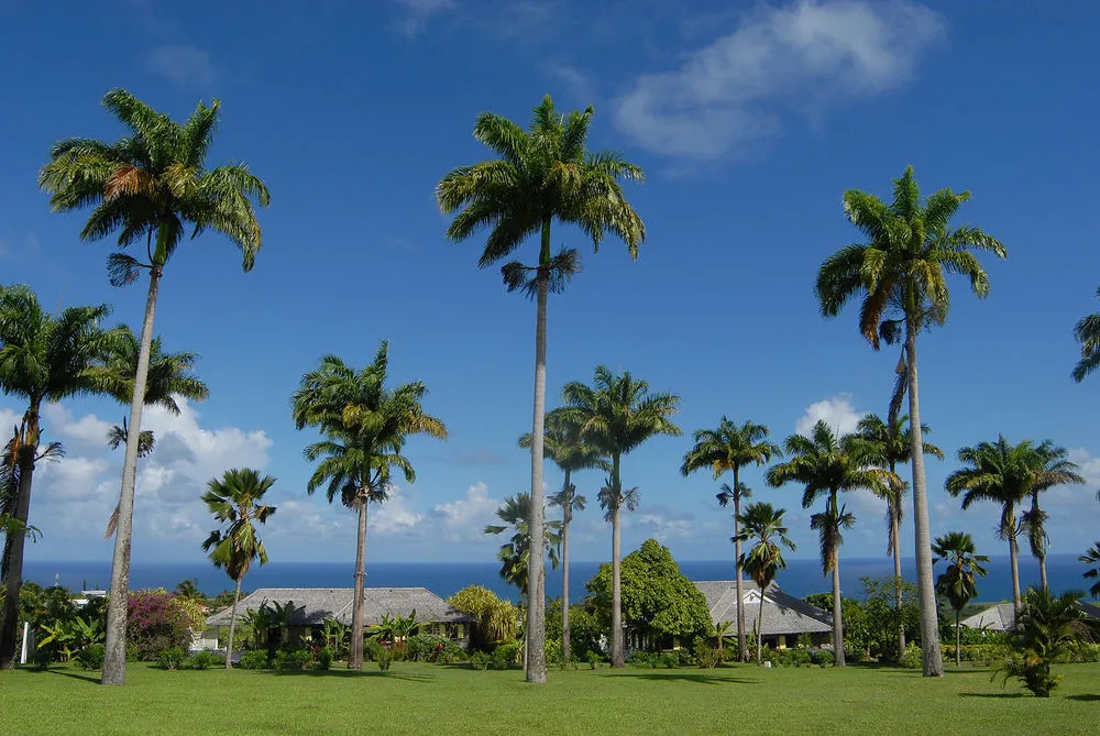 Ottley's Plantation Inn