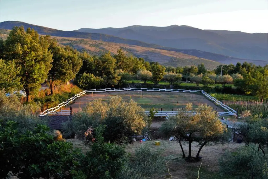 Fattoria La Tana della Volpe