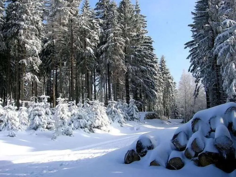 Hotel Zum Schneekopf "Garni"