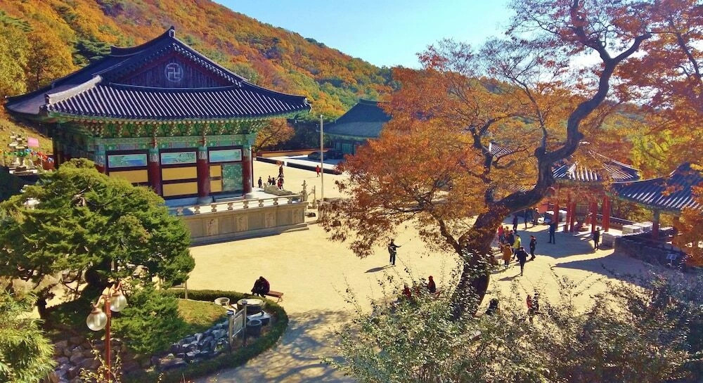 Better Guest House