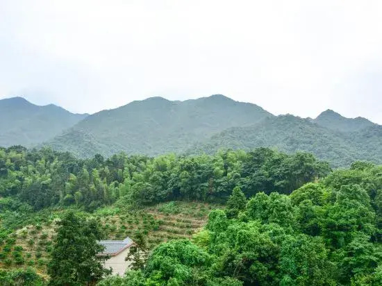 TOWO Holiday Homestay (Yongxiu Xihai)