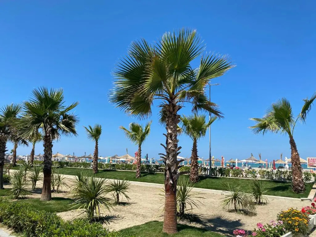 Qerret Beach Apartment