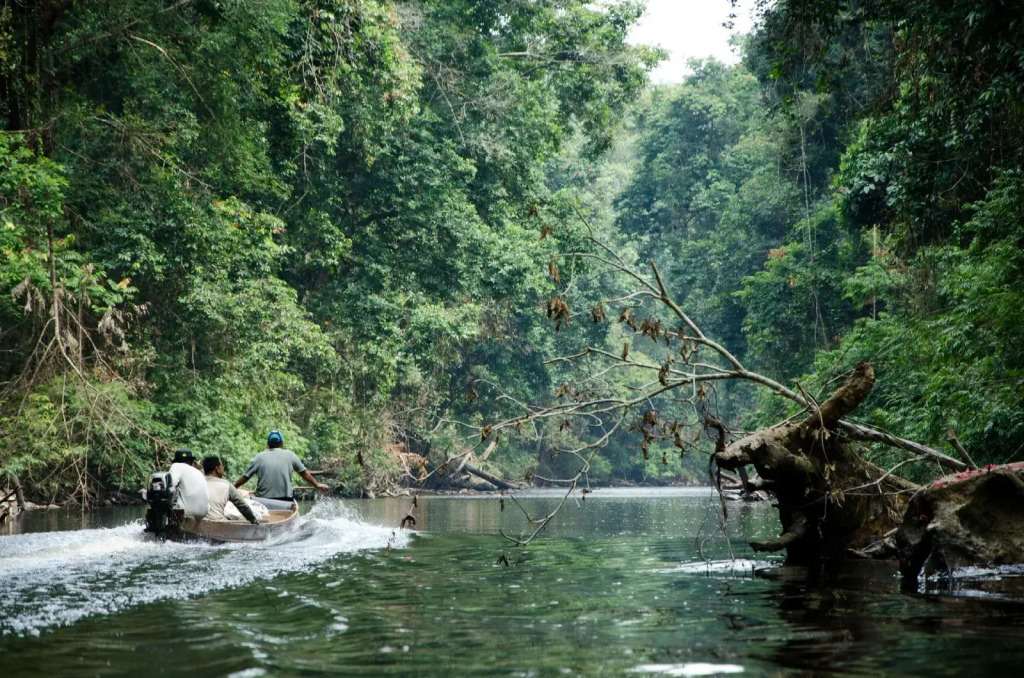 Mutiara Taman Negara