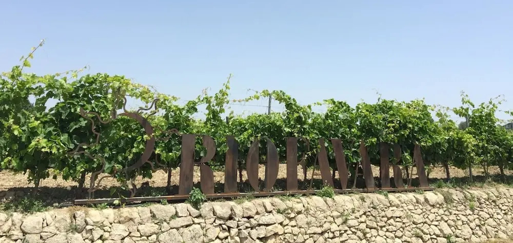 Riofavara Winery in Val di Noto