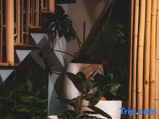 Wiwaka Bamboo House