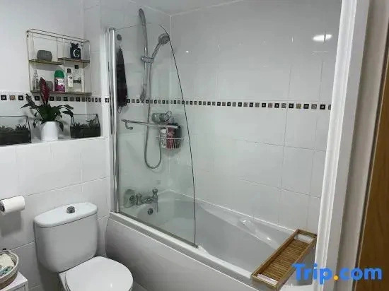Entire flat by Principality Stadium