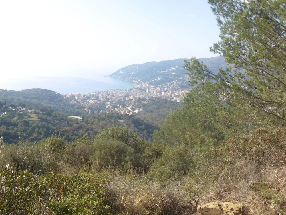 Uso di Mare 7 in Marina di Andora