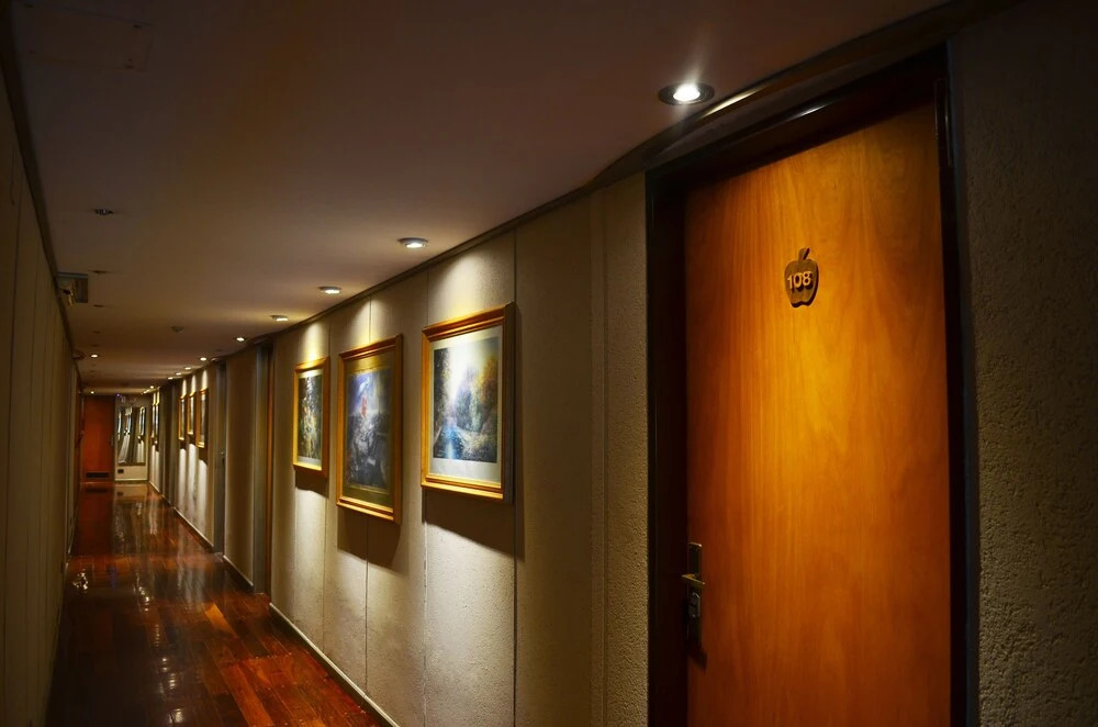 Hotel Huemul