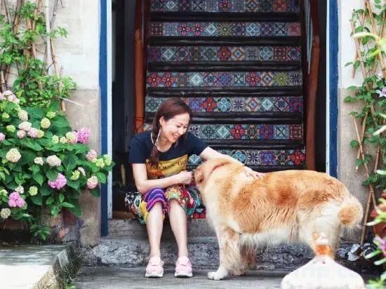 Yandang Mountain Jinlin Holiday Guesthouse