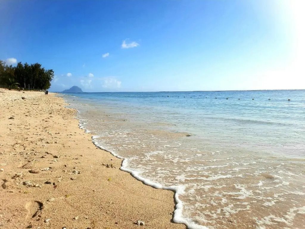 Sunkissed - Brand New Beach apartment located 50m from beach