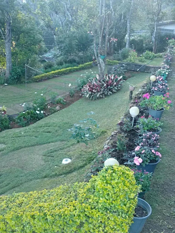 Miselly's Bangalow Hostel