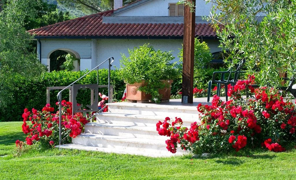 Poggio Degli Olivi