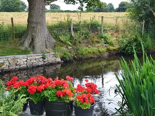 Oak Cottage
