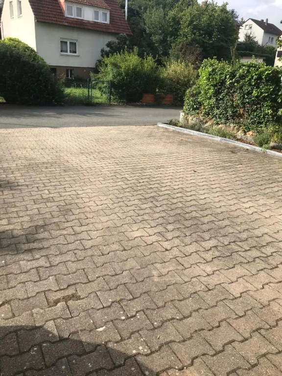 Amselnest-Bischberg